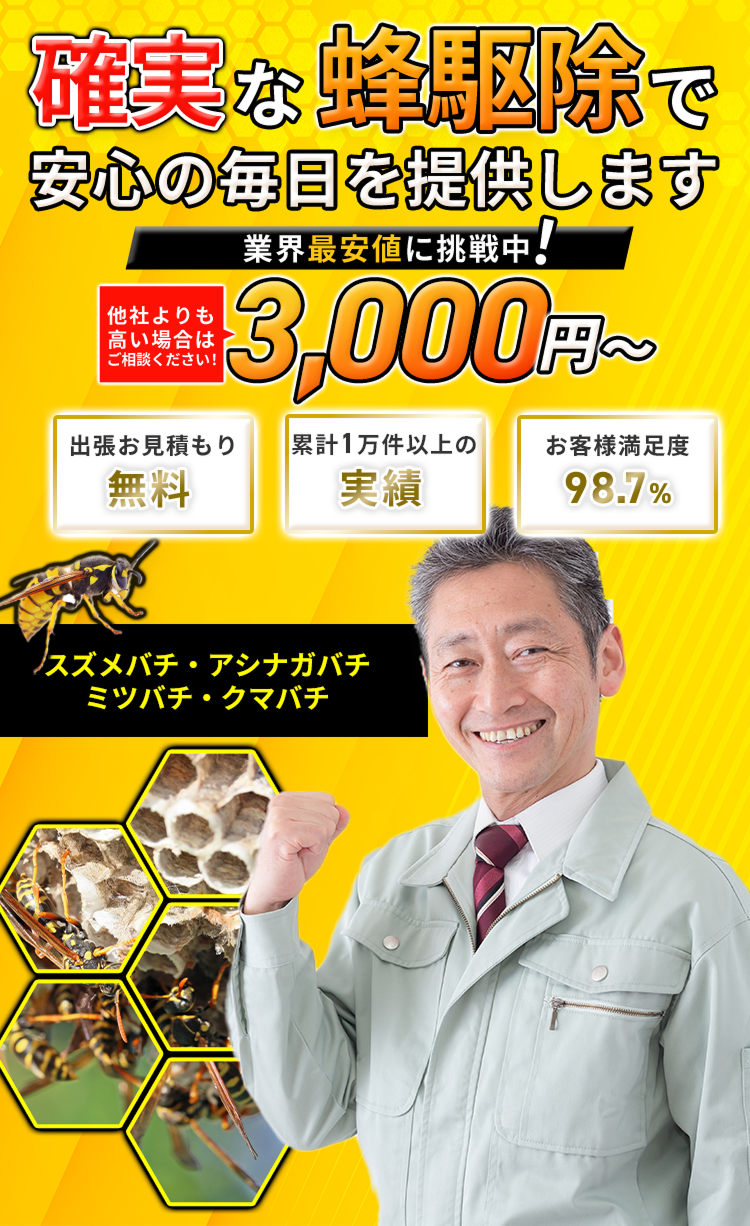 岐阜市の蜂の巣駆除｜最短15分で駆けつけ！岐阜市蜂の巣駆除センター
